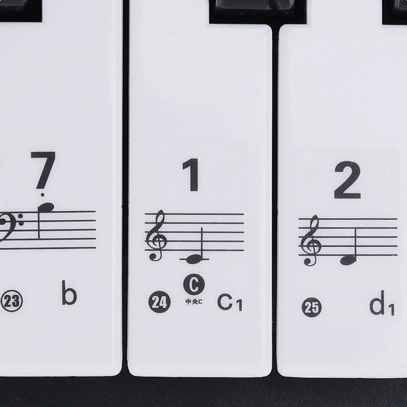 Adesivos transparentes removív - Keyboard Piano 61 Key avaliação e preço