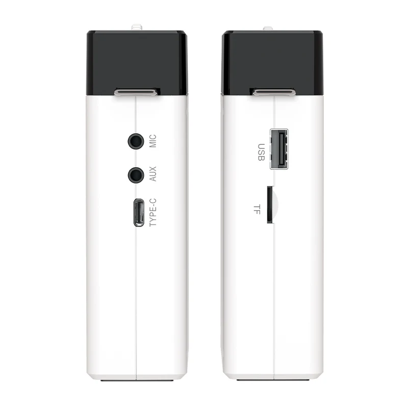 LINIM S2 Mini Alto-falante Por - Portable Amplifier Mini avaliação e preço