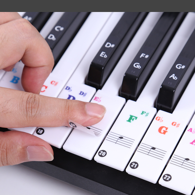 Adesivos Transparentes para Te - Keyboard Piano 61 Key avaliação e preço